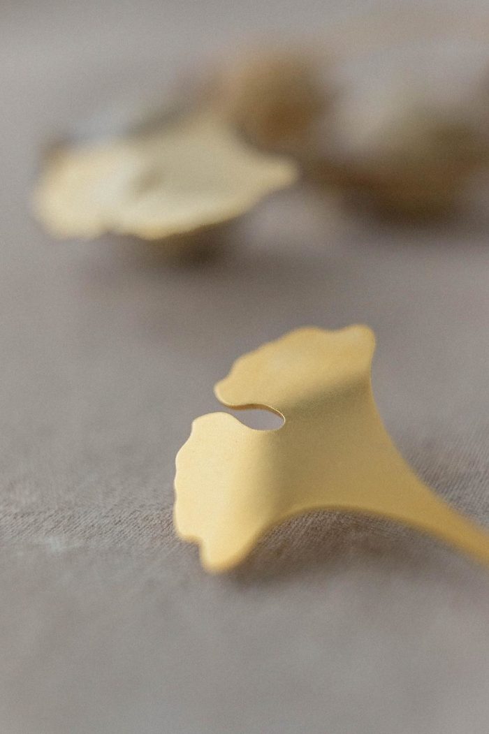 Ginko - immagine 5