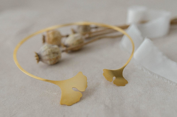 Ginko - immagine 4