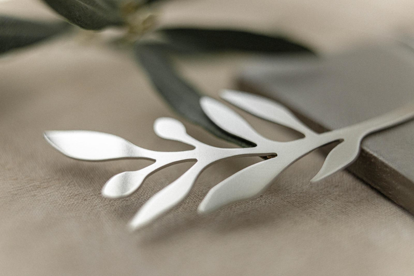Olive - immagine 3